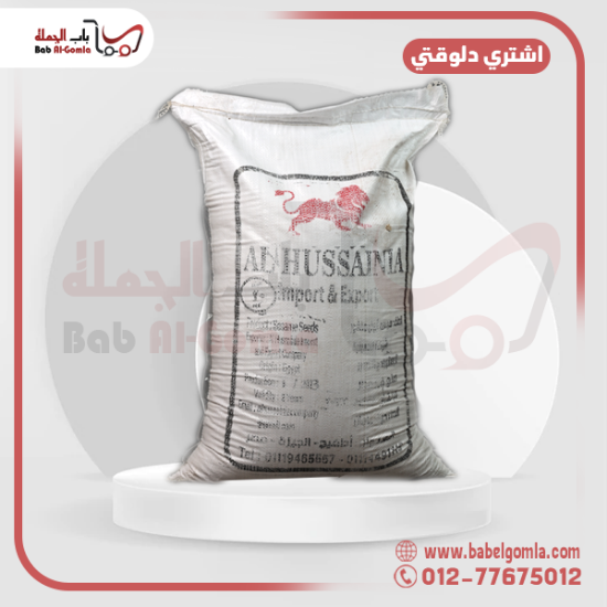 صورة سمسم مصري  الاسدين