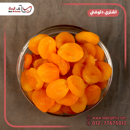 صورة مشمشية مقاس 2 (5) ك